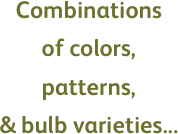 Combinations 
of colors,
patterns,
& bulb varieties...